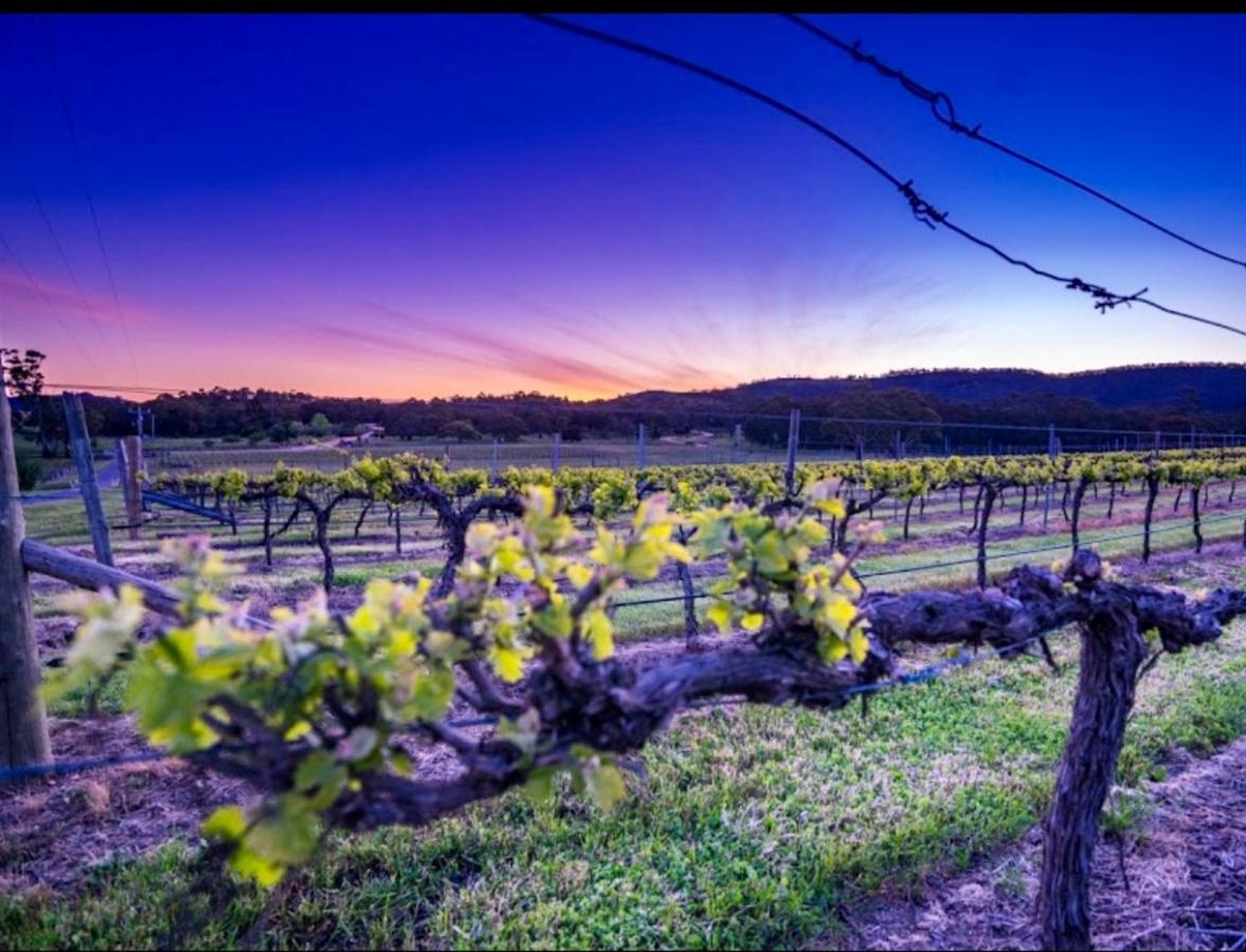Апартаменты #Grampians Views Getaway #Cbd #Netflix Стауэлл Экстерьер фото